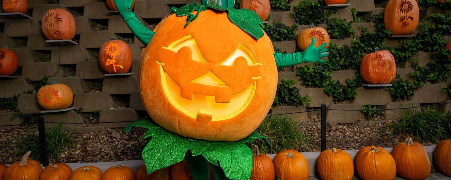 DW25_ENTERTAINMENT_Harvest_Harvey